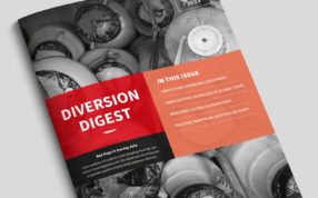 Diversion Digest Issue 4